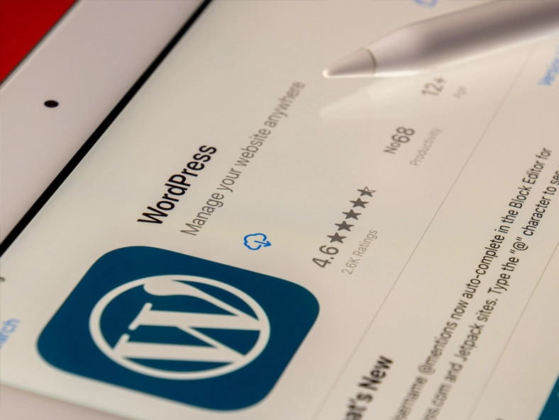 Новата версия на WordPress 6.5.3: Подобрения и корекции